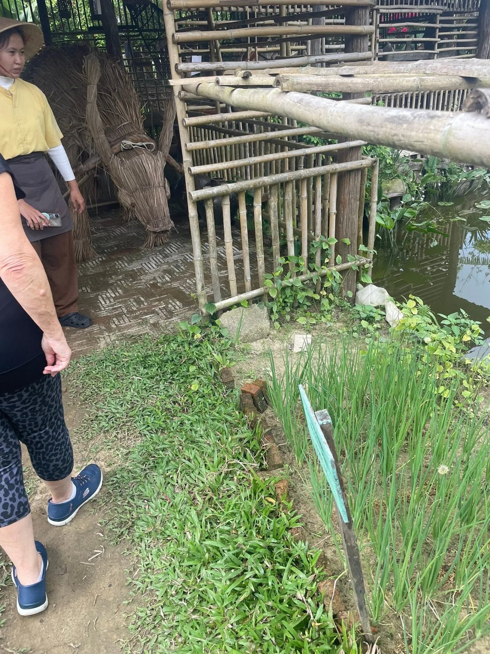Real photo from a Fingo private walking tour through Hoi An Ancient Town.