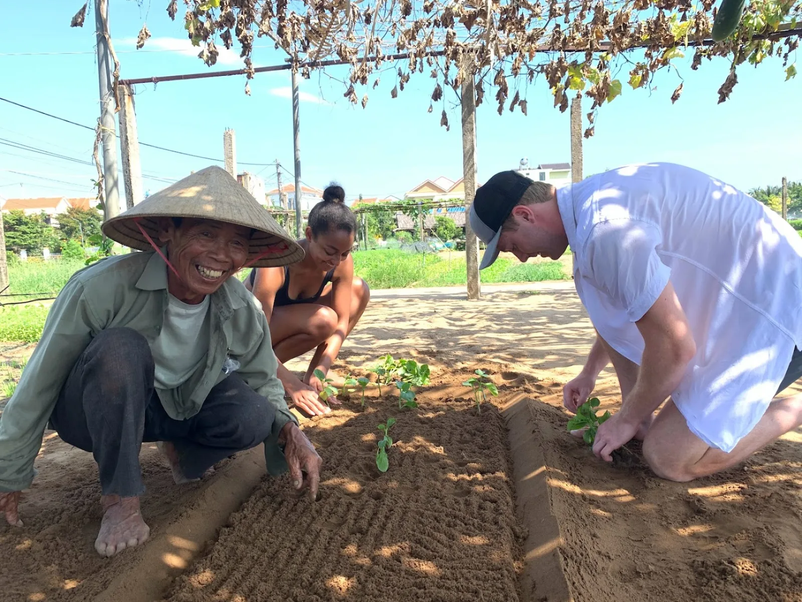 A Tra Que farmer in a conical hat teaching guests how to plant seedlings in the herb beds.